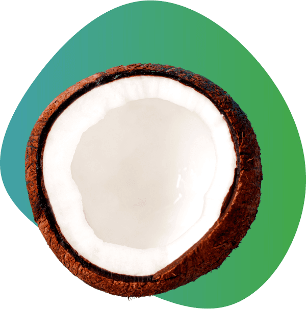 Coconut