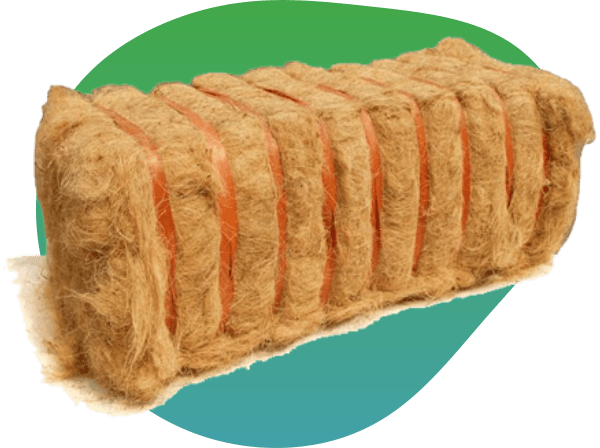 Indonesia Coconut Fiber