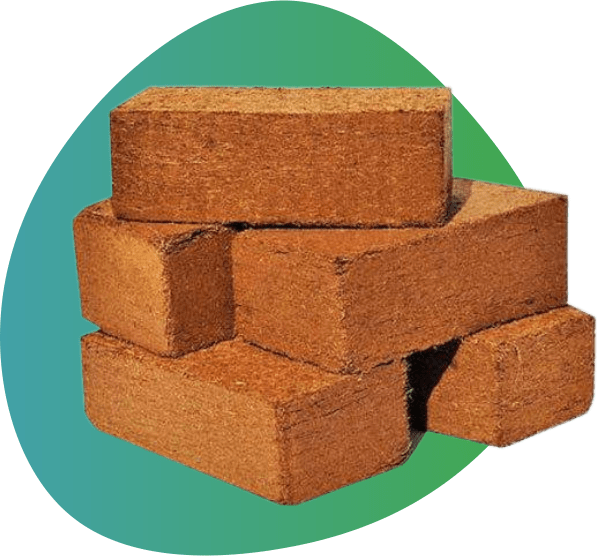 Indonesia Coconut Peat Block